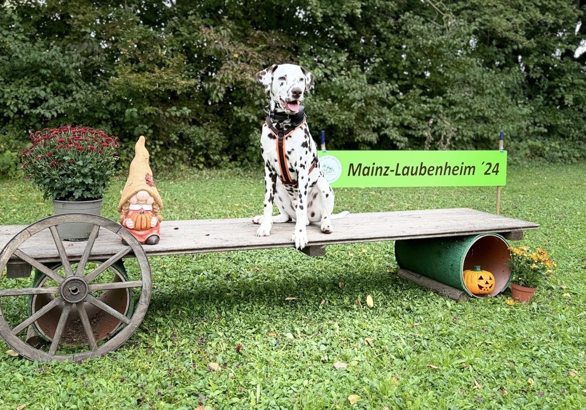 Regionalgruppenausstellung am 05.10.2024 Regio West